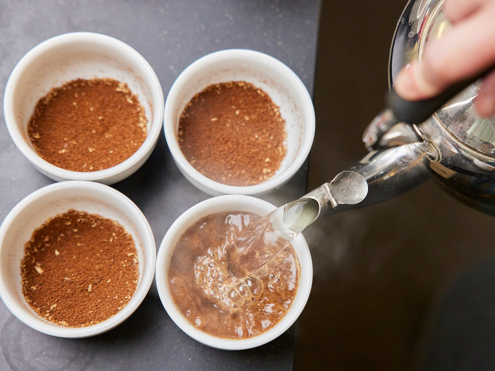A coffee professional pours water into cupping bowls.