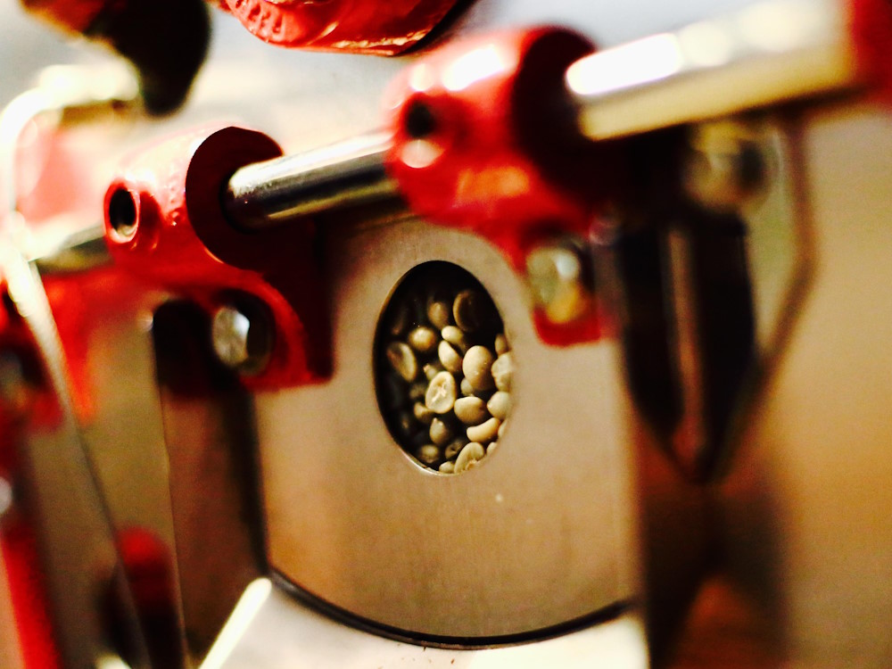 Green beans being roasted in a drum machine.
