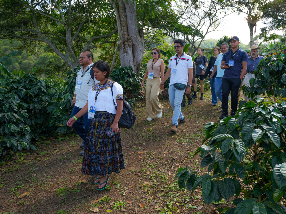 Attendees at the PRF: Farm Summit visitng a coffee farm