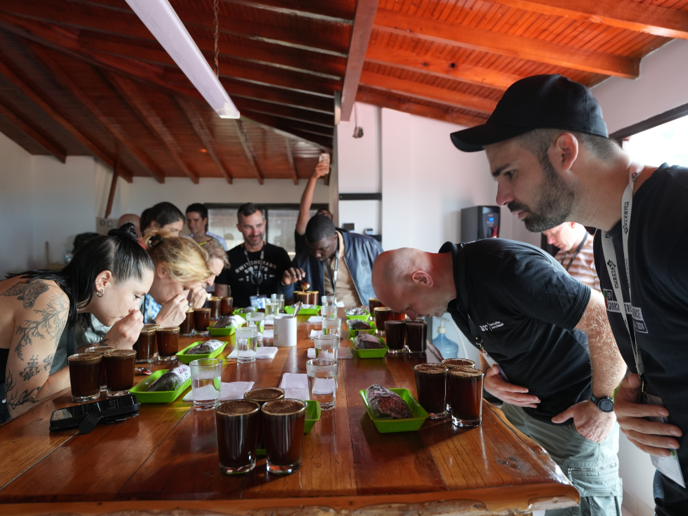 Cupping Session