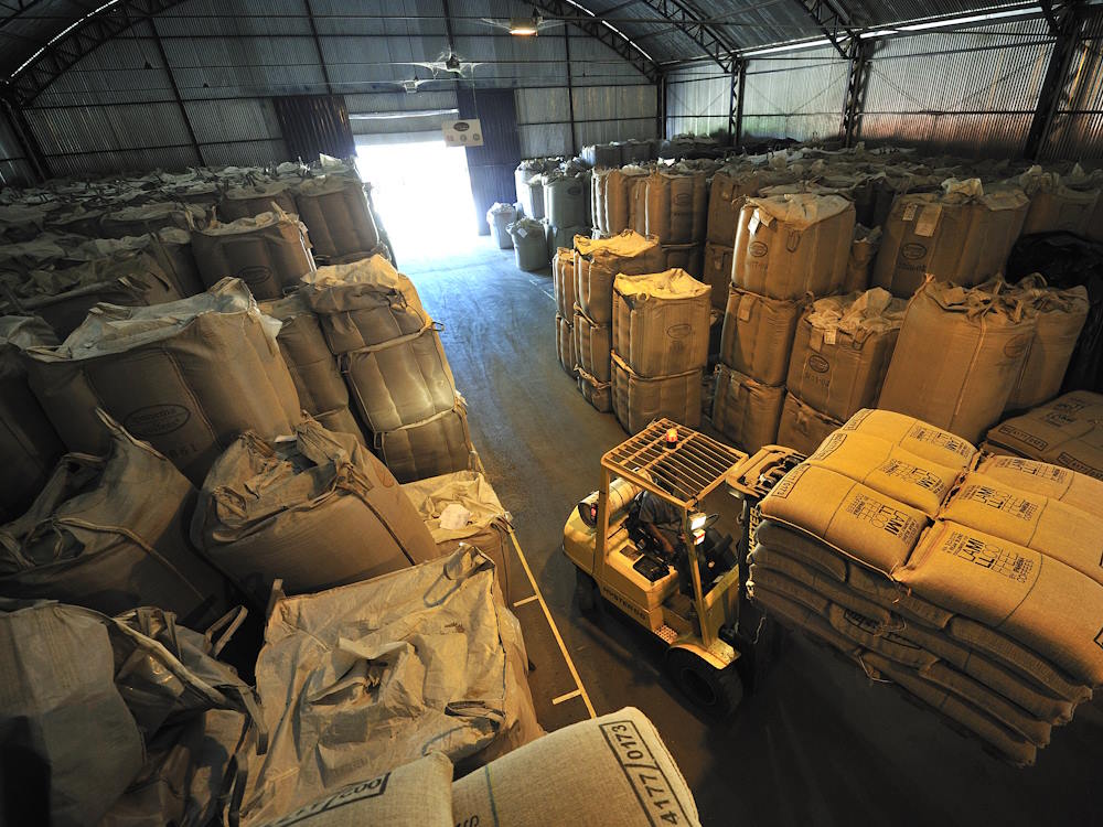 A worker moves green coffee bags in an export warehouse in Minas Gerais, Brazil.