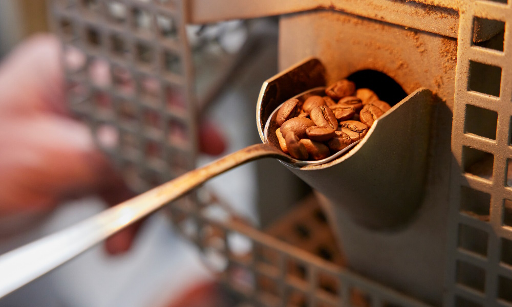 A roaster inspects roasted coffee beans in a sample machine.