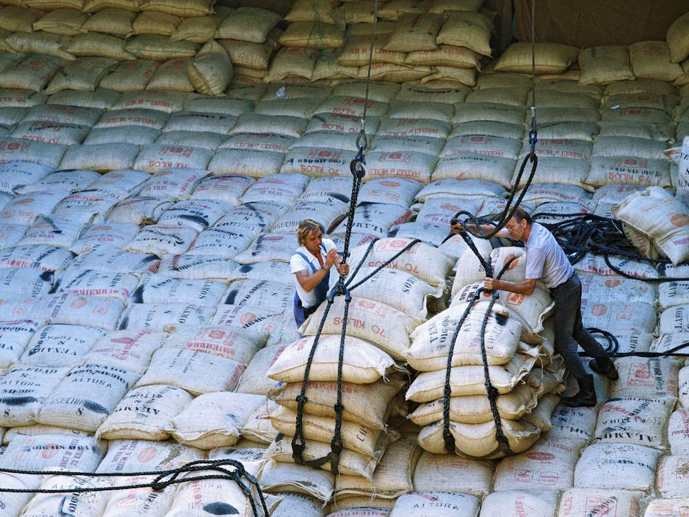 Port workers lift green coffee bags from a cargo ship.