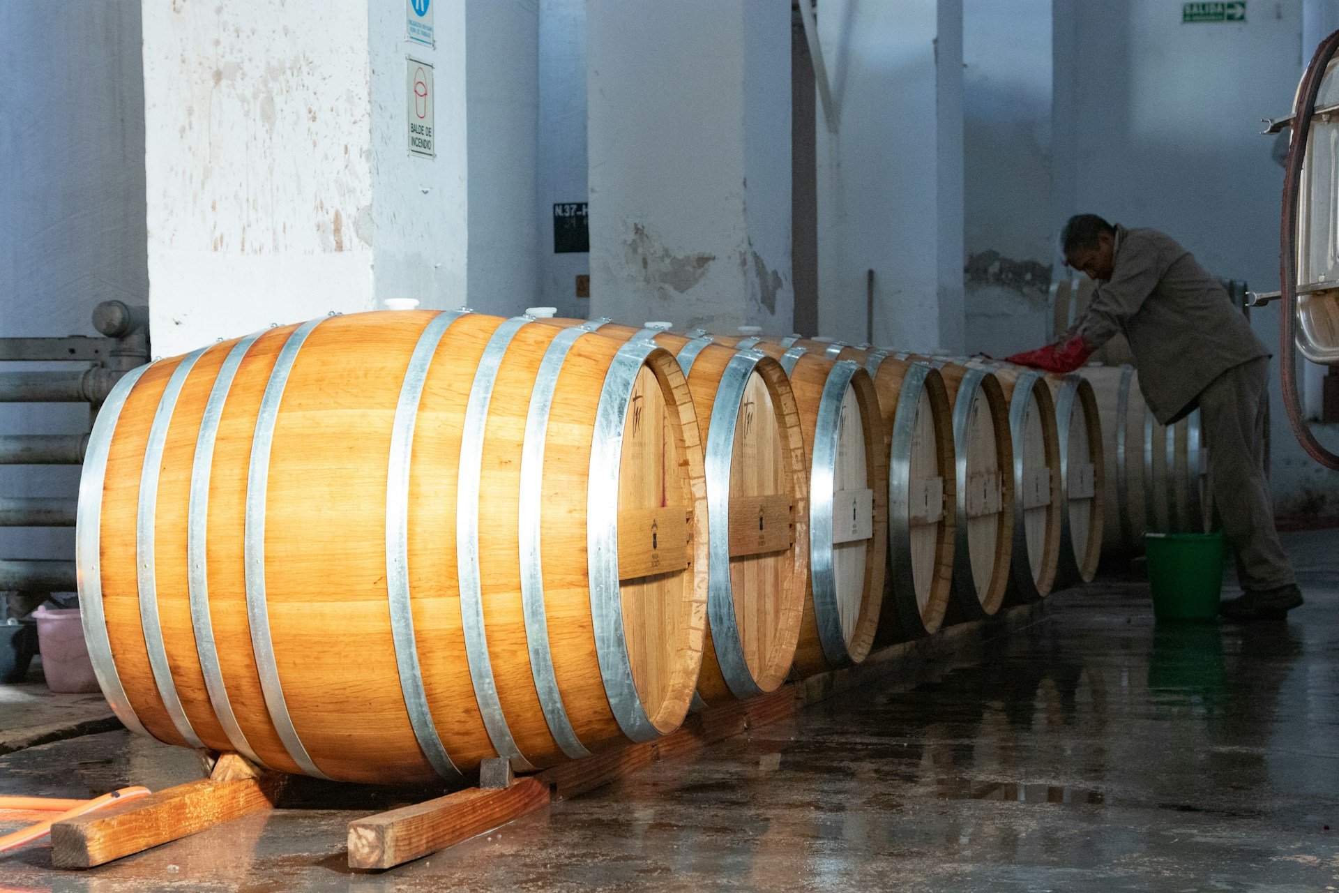 barrel brewing